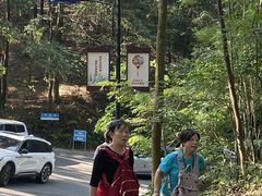-广州市帽峰山景区