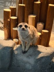 -Zoolung Zoolung动物主题公园(海信广场店)