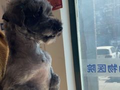 -宠颐生动物医院·心脏科·保险定点(锦阳分院)