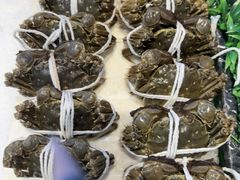 -田园·晶品会(鹤庆路店)