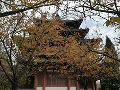 -西安青龙寺遗址景区