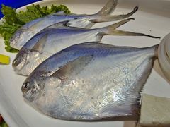 -渔港甄宴·海鲜·地标烟台菜(金沙滩店)