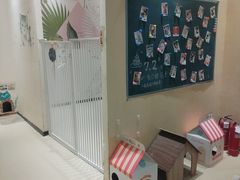 -藏猫猫咖啡主题馆(中央大道店)