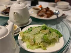 -锦江(Southgate)