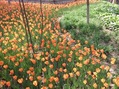 -长春公园(普阳街道)