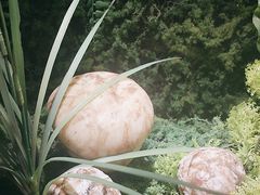 -菌彩云南野生菌火锅(呈贡七彩云南第壹城店)