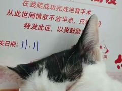 -御宝贝24h宠物医院·转诊中心·CT核磁血透中心(厦门总院)