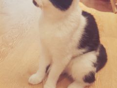 -万小咖.猫咖(中山路天虹店)
