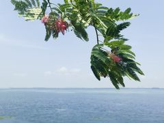 -阳澄湖半岛旅游度假区