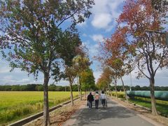 -嘉北郊野公园