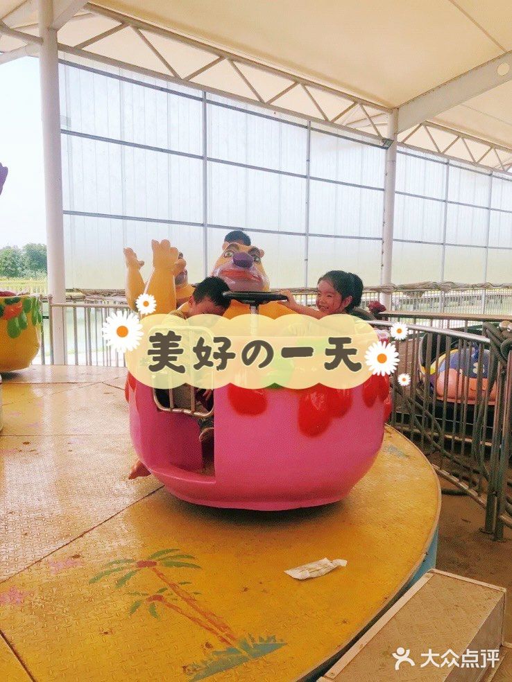 可爱的羊驼🦙在这边哦