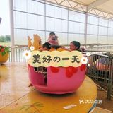 可爱的羊驼🦙在这边哦