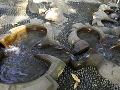 -成都市活水公园