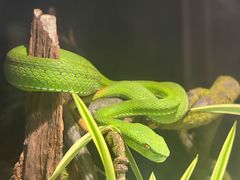 -昆明动物园