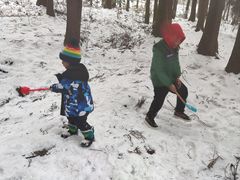 -武陵山森林公园