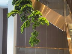 -正清和·推拿养生(二七广场店)