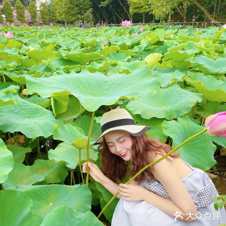 乐山拍照圣地｜荷花味的夏天☀️