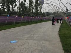 -秀丽东方