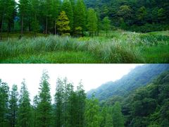 -广州市石门国家森林公园
