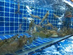 -吉源大排档·鱼生·海鲜(烧烤彩印厂店)