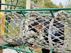 -上海浦东康桥绿地假日酒店