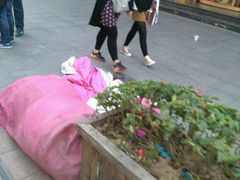 -沈阳玫瑰大酒店