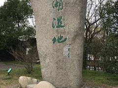 -溱湖国家湿地公园