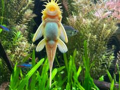 -上海海洋水族馆