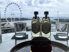 -新加坡文华东方酒店