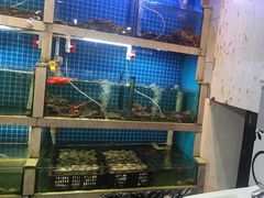 -大厨的餐厅(曾厝垵总店)