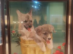 -浙江省博物馆(孤山馆区)