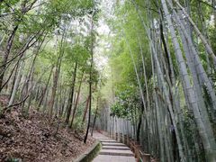 -敬亭山风景名胜区