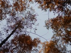 -河南省黄河迎宾馆