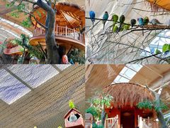 -南宫五洲植物乐园