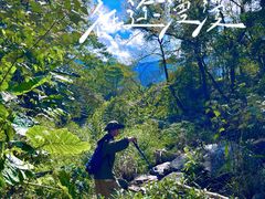 -广州市石门国家森林公园