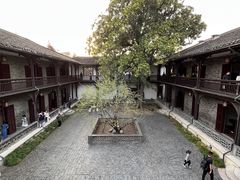 -何园