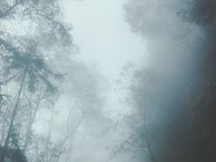 -重庆雨台山风景区