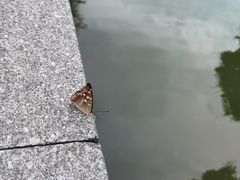 -小骨煲金华砂锅(转塘金街美地店)