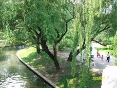 -紫竹院公园冰场
