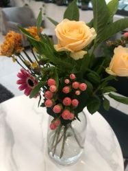 -广州萨谛艾扬格瑜伽中心