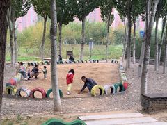 -大兴滨河森林公园