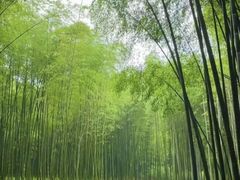 -杭州植物园