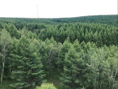 -塞罕坝国家级自然保护区