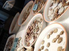 -南山饭店(阳明古镇店)