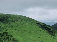 -大姆山草场