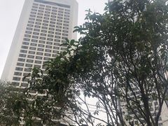 -南京金陵饭店
