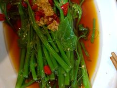 白灼龙须菜-杨家汀州韵(万达店)