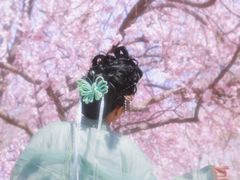 -桃花堤公园