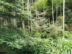 -梅岭神龙潭