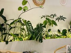 -Fruiffee Cafe 果啡派